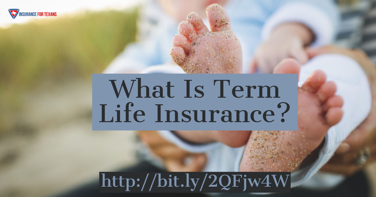 which-of-the-following-types-of-life-insurance-combines-a-savings-element